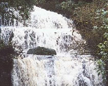 purakauni falls